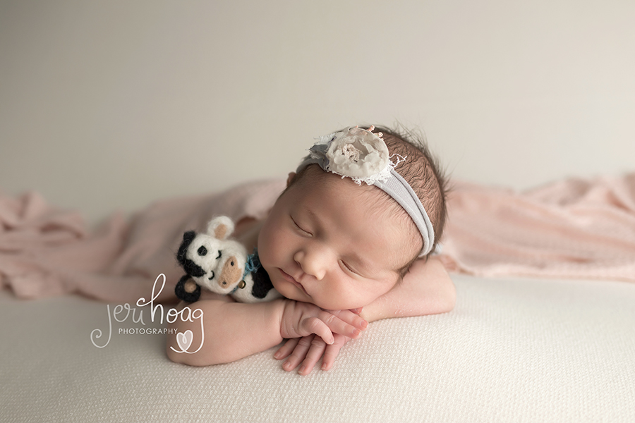 Baby Josephine Featured with a Stuffed Cow